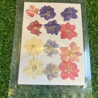 Pressed Larkspur Multicolored