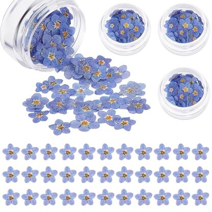 Forget Me Not flowers