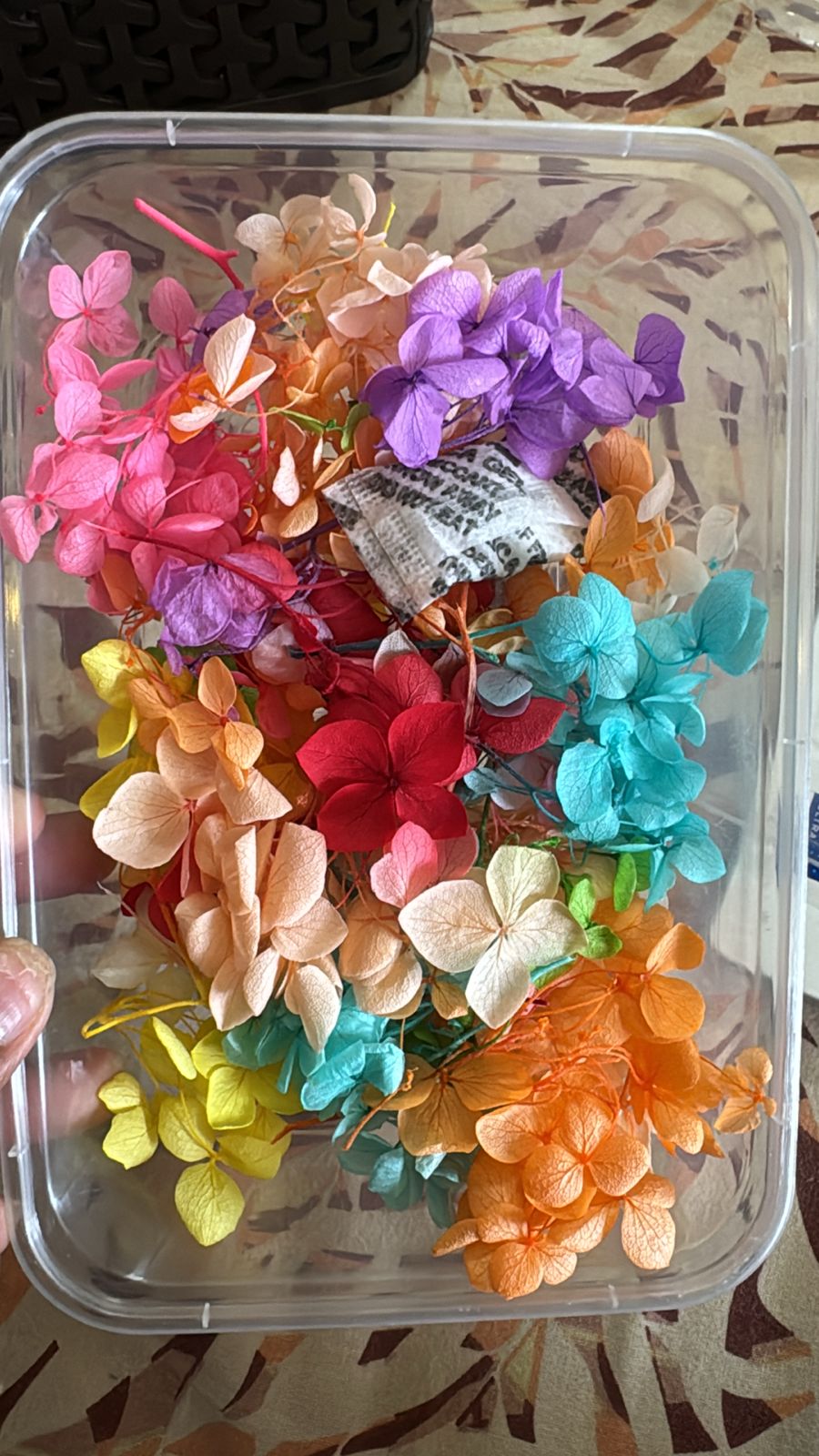 Multicolor Hydrangea Box