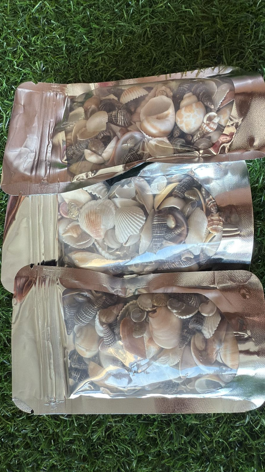 Shells
