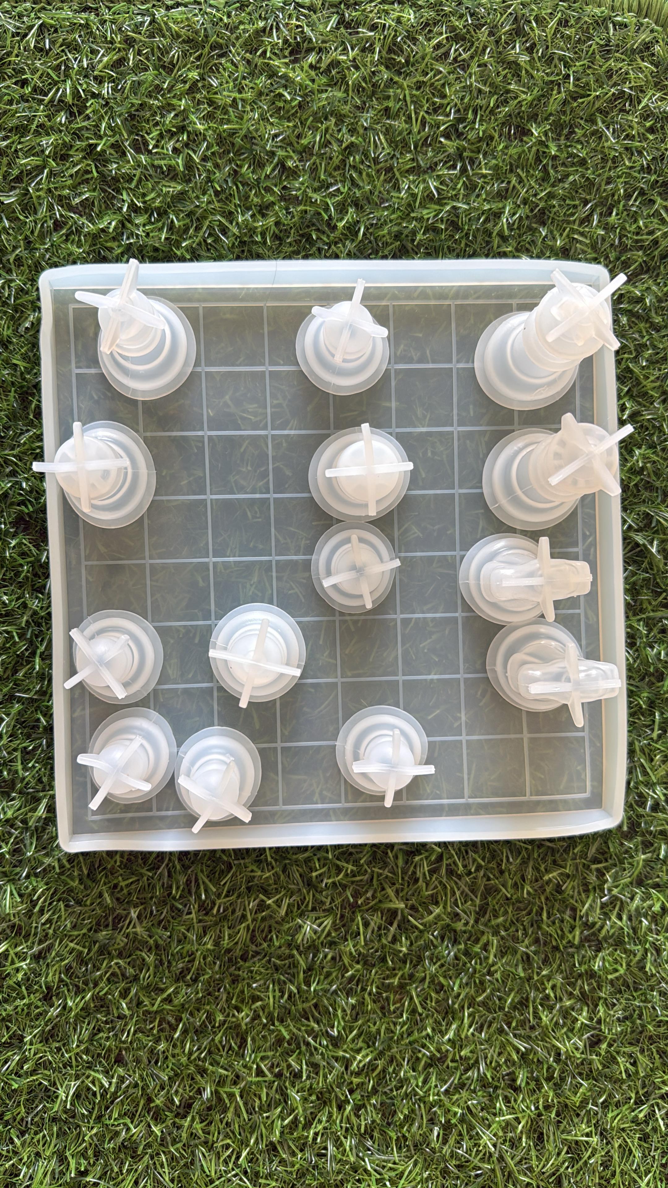 Chess mould