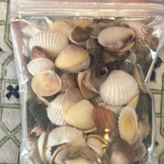 Shells