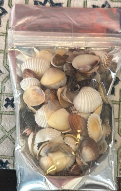 Shells