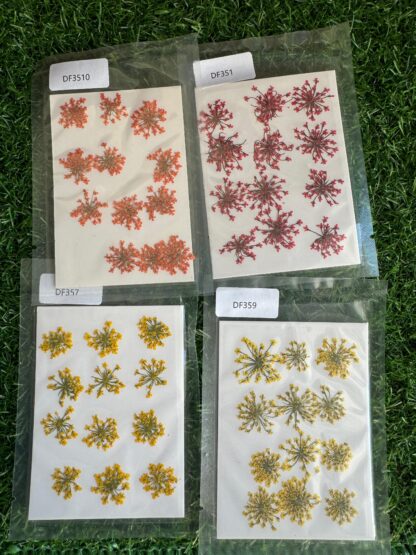 Anne's lace - Image 4