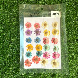 multi colour