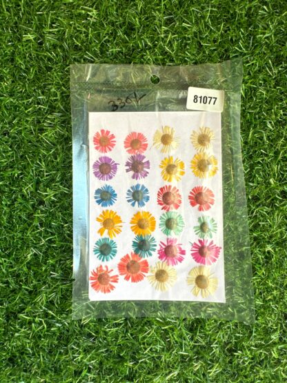 multi colour