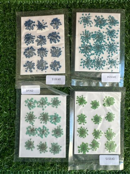 Anne's lace - Image 3