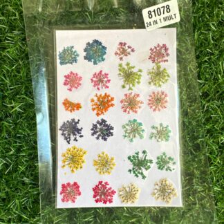 24 pieces anne's lace