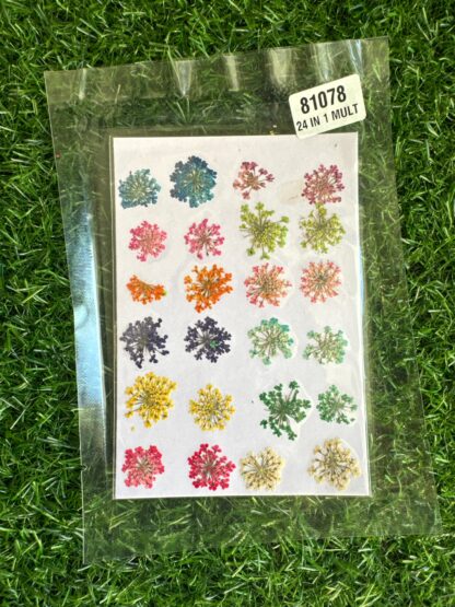 24 pieces anne's lace