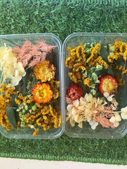 Dry flower Box - Image 2