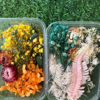 Dry flower Box