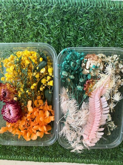 Dry flower Box