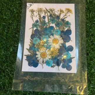 Pressed Flowers Mix