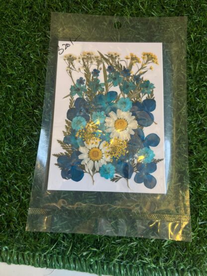 Pressed Flowers Mix