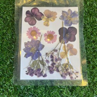 Purple Pressed Flower Sheet