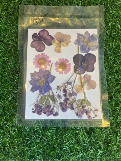 Purple Pressed Flower Sheet