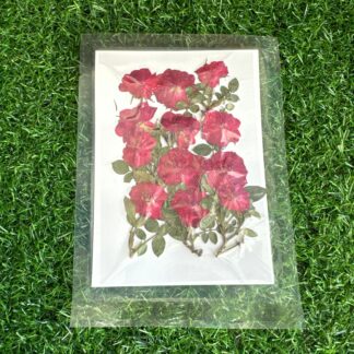 Pressed Red Rose with Leaves