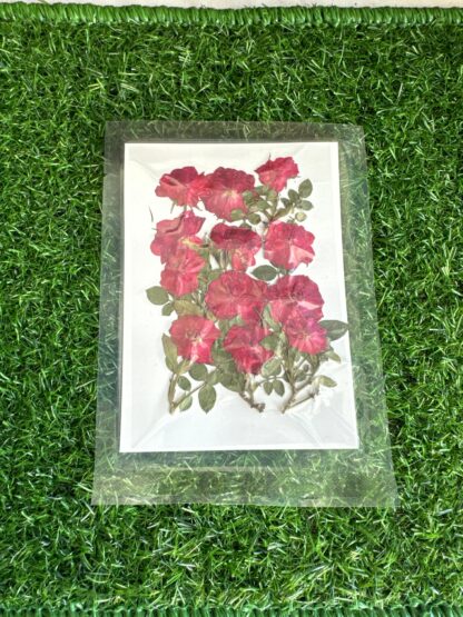 Pressed Red Rose with Leaves