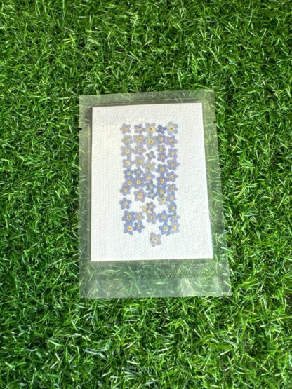 Blue Forget-me-not Pressed Dry Flowers 50pc