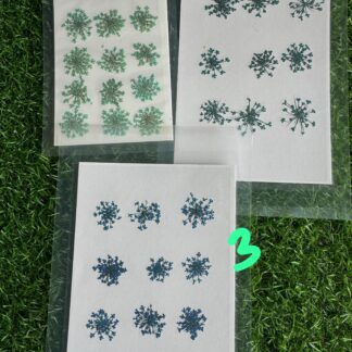 Anne's lace