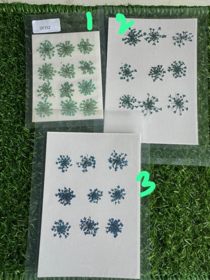 Anne's lace