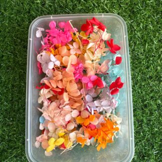 Hydrangea Box