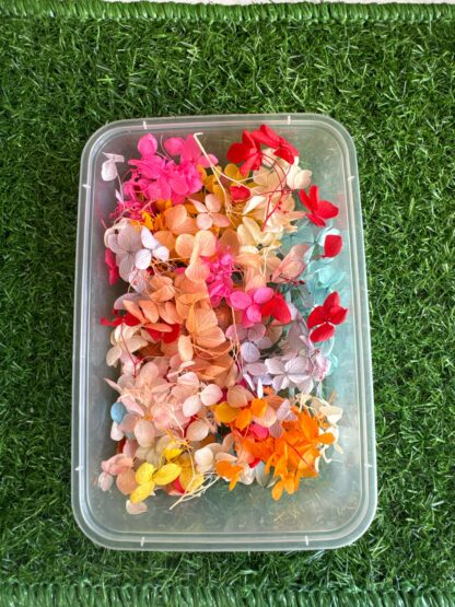 Hydrangea Box