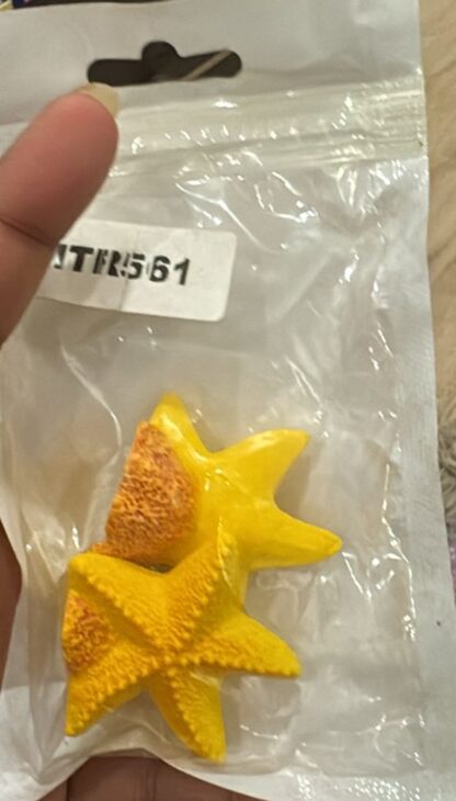 Star Fish Miniature