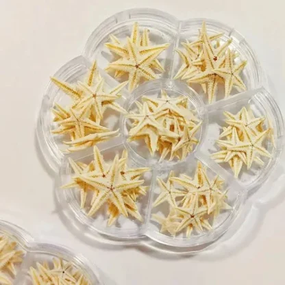 Star Fish