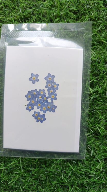 Forget me not Flowers pack of 25 - Image 2