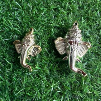 Ganesha's face Pair