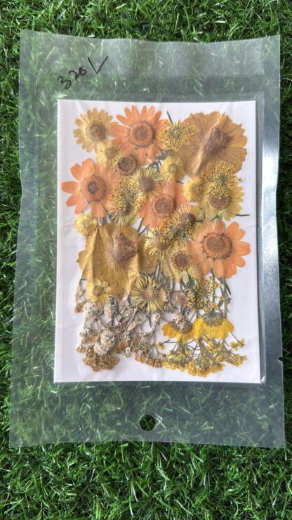 Pressed Flowers (001)