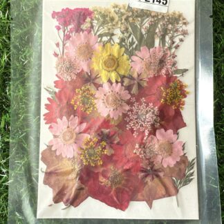 Pressed Flowers (002)