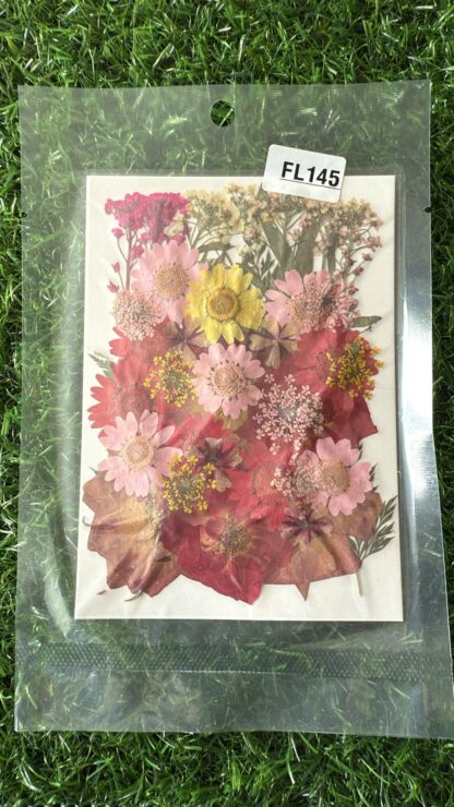 Pressed Flowers (002)
