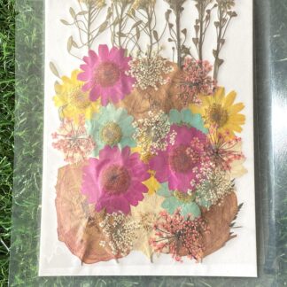 Pressed Flowers (003)