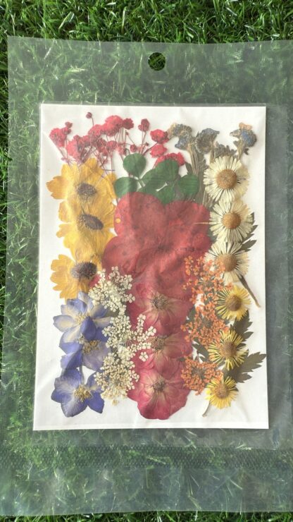Pressed Flowers (005)