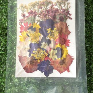 Pressed Flowers (004)
