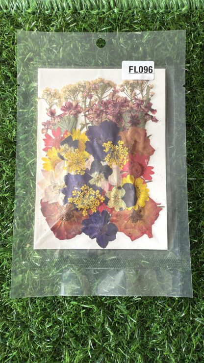 Pressed Flowers (004)